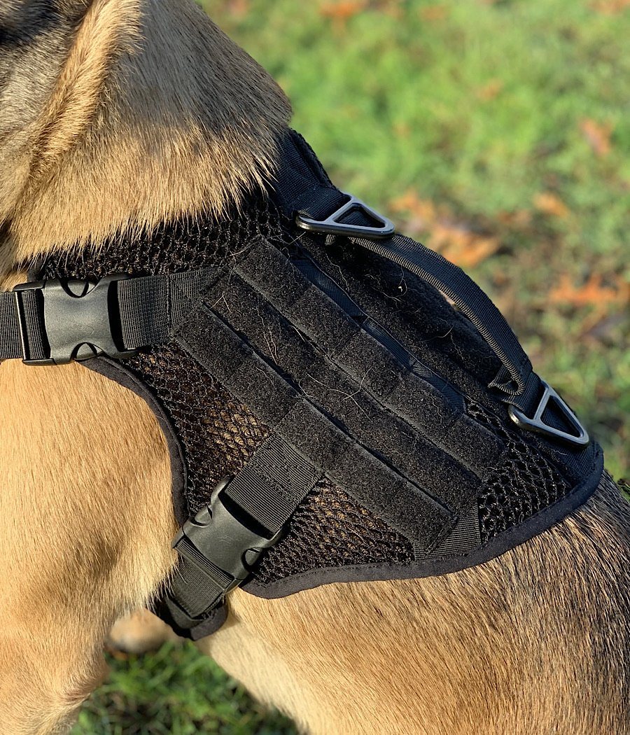 Artemis Dog Harness MOLLE